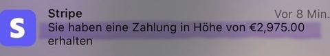 Stripe-Zahlungsmeldung über 2.975 Euro aus Marianes Business.